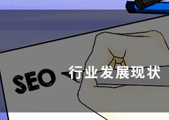 一个专业做seo网站优化推广的公司：网站优化推广行业目前现状是怎样的？